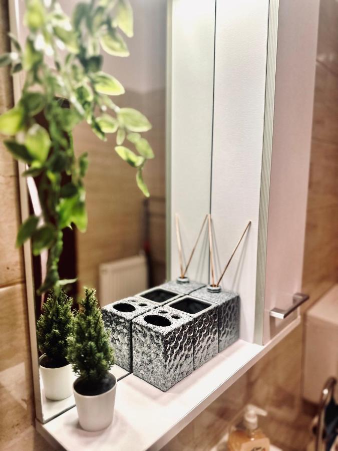 Stay Inn Central Brasov Bagian luar foto